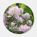 Suche nach rhododendron Rosa