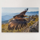 Suche nach adler im flug Natur