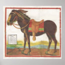 Suche nach auf dem esel poster Vintag