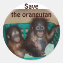 Recherche de orang outan autocollants Bébé