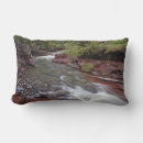 Recherche de ruisseau coussins Nature