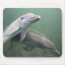 Suche nach zwei tiere mousepads Schwimmen