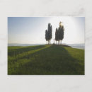 Recherche de lentille cartes postales Coloré
