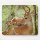 Suche nach kitz mousepads Rotwild