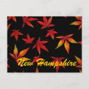 Recherche de automne cartes postales Brillant