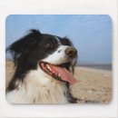 Suche nach glücklicher hund mousepads Strand