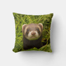 Suche nach ferret kissen Süße tier