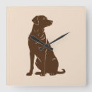 Recherche de raton laveur horloges Forêt