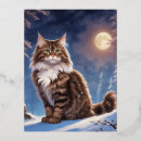 Suche nach sibirische katzen postkarten Kätzchen