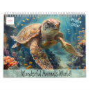 Recherche de tortue calendriers Animal