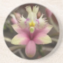 Suche nach orchidee untersetzer Blumen