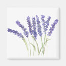 Suche nach kräuter magnete Aquarell