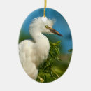Suche nach reihe ornamente Natur
