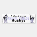 Recherche de husky voiture autocollants Animaux