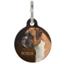 Recherche de chien de boxeur Dogs