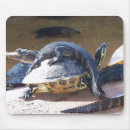 Suche nach sumpfgebiete mousepads Florida