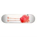 Recherche de faune skateboards Oiseaux