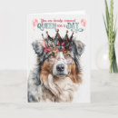 Suche nach australian shepherd karten Haustiere