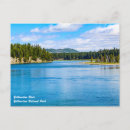Recherche de parc de yellowstone cartes postales Montana