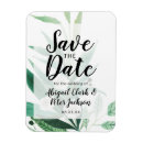 Recherche de plantes vertes magnets Couple