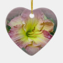 Recherche de plantes fleurissants ornements Jardin