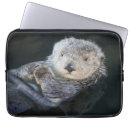 Suche nach otter laptop schutzhüllen Meeresleben