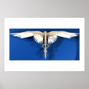Recherche de le caducée posters Infirmière