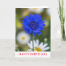 Suche nach cornflower karten Natur