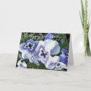 Suche nach stiefmütterchen karten Natur