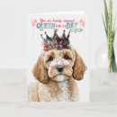 Suche nach cockapoo karten Haustiere