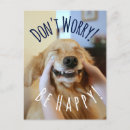 Suche nach lächelnder hund postkarten Foto