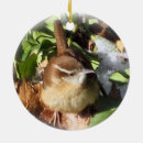Suche nach baumverzierung ornamente Vogel