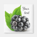 Suche nach zerreißen magnete Beere