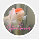 Recherche de goldfish autocollants Poisson rouge