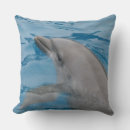 Suche nach dolphins kissen Flaschendolphin