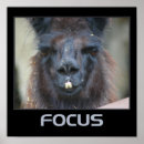 Suche nach fokus poster Ermutigung