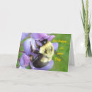 Recherche de gaffez l abeille cartes postales Insecte
