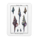 Suche nach denise magnete Wandmalerei