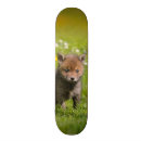 Recherche de les animaux skateboards Faune