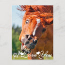 Recherche de drôle de cheval cartes postales Amateurs de chevaux