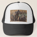 Recherche de huile casquettes Animal