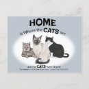 Suche nach neue katze postkarten Neues haus