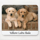 Suche nach regel mousepads Hunde