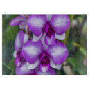 Suche nach orchideen schneidebrettchen Blume