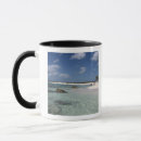 Recherche de punta tasses Vacances