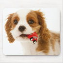 Suche nach mund mousepads Horizontal