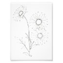 Suche nach gänseblümchen poster Blume