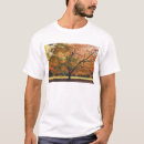 Recherche de épouvantail vêtements Feuilles