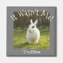 Recherche de humoriste magnets Dog