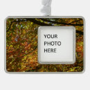 Suche nach herbstlaub ornamente Natur